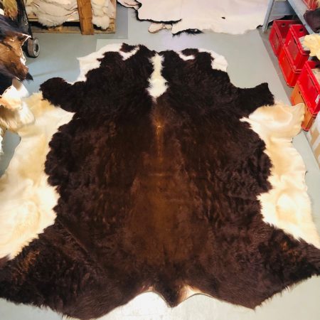 Chromfrei gegerbter rot-brauner Bulle (Herford) Nr 053