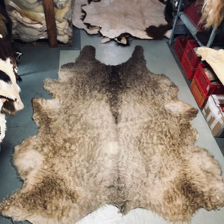 Chromfrei gegerbtes grau-braunes Galloway - Nr 056