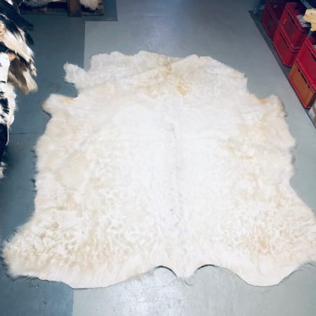 Chromfrei gegerbtes weiĂźes Charolais - Nr 065