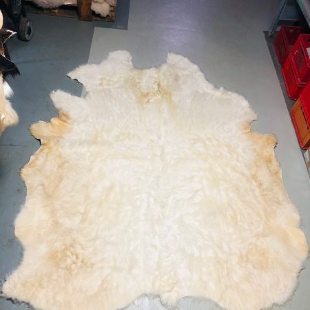 Chromfrei gegerbtes weiĂźes Charolais - Nr 067