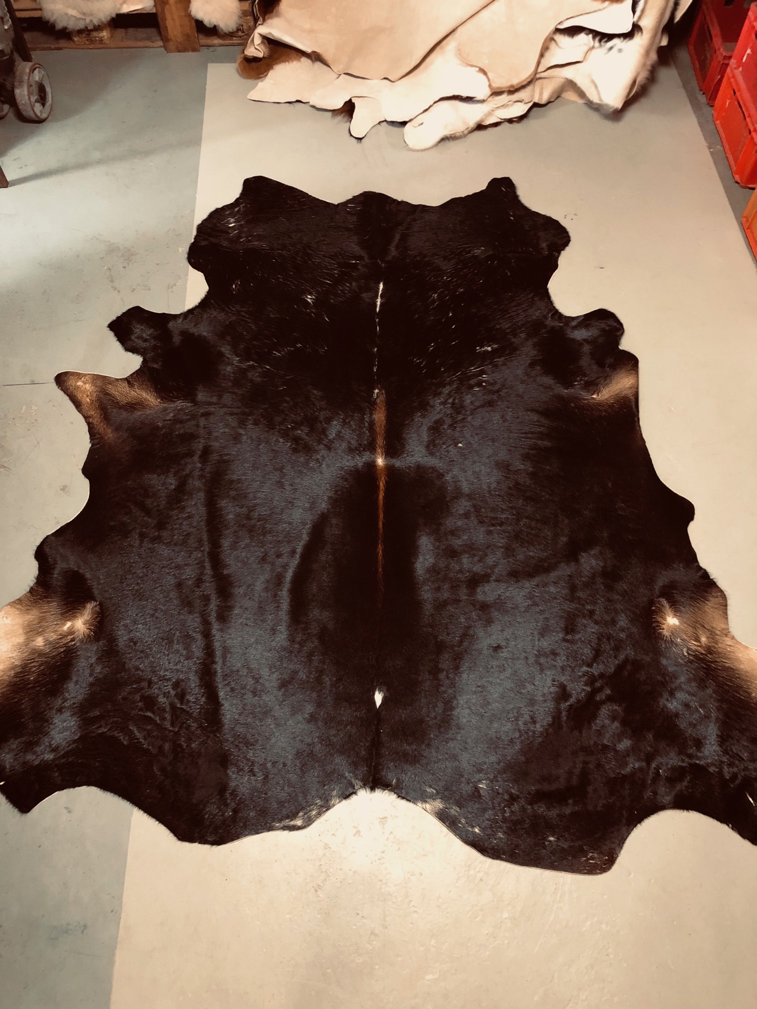 Chromfrei gegerbtes Zebu-Fell – schwarz – 200 x 195 cm - Nr 005