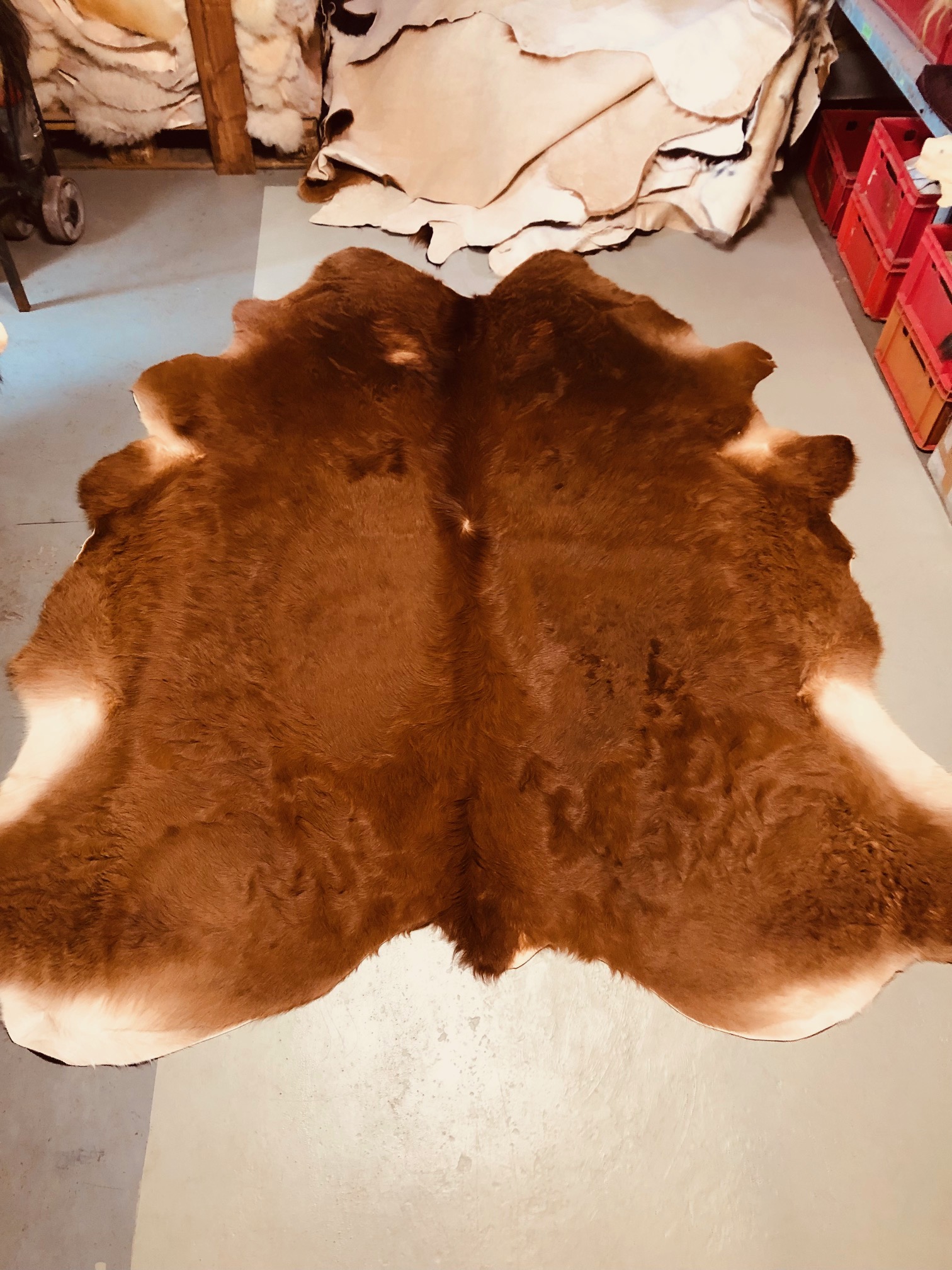 Chromfrei gegerbtes Rinderfell – gelockt – braun - 235 x 205 cm - Nr 006