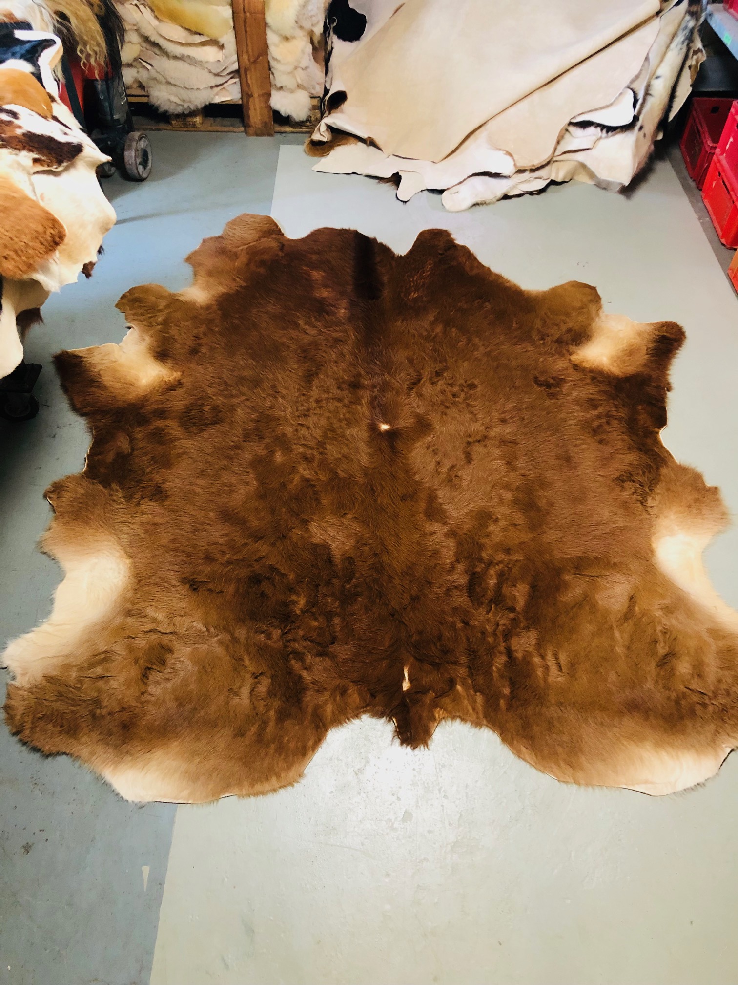 Chromfrei gegerbtes Rinderfell – gelockt – braun - 235 x 200 cm - Nr 007