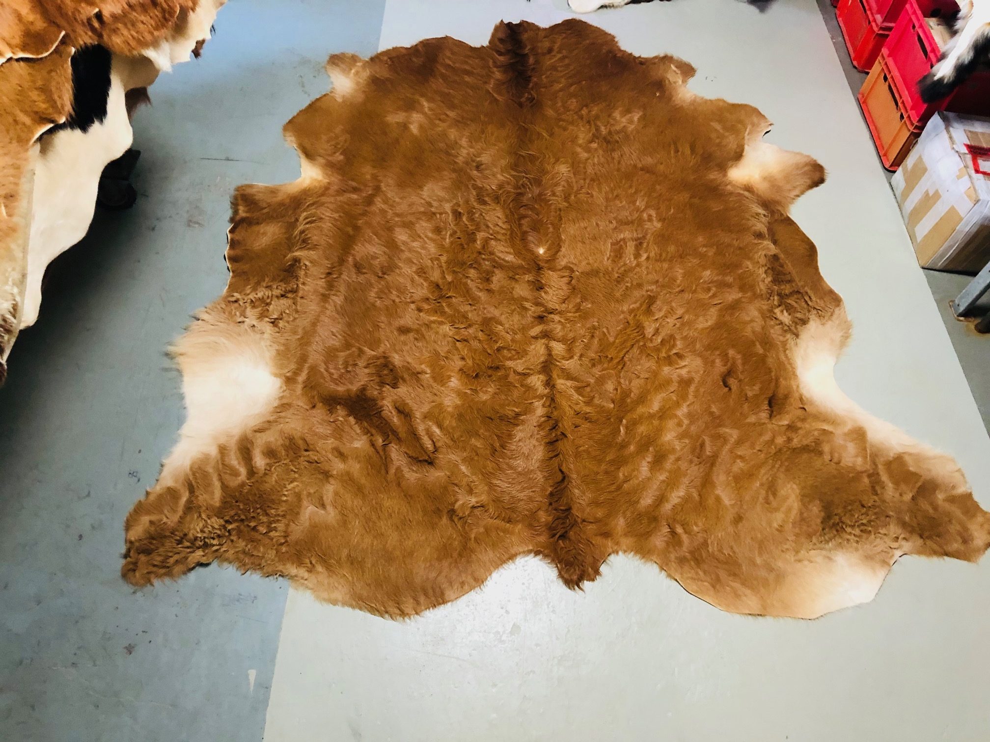 Chromfrei gegerbtes Rinderfell – gelockt – braun - 225 x 210 cm - Nr 008