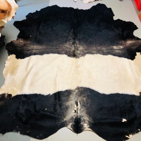 Chromfrei gegerbtes beltend Bullenfell – schwarzbraun – 260 x 225 cm - Nr 009