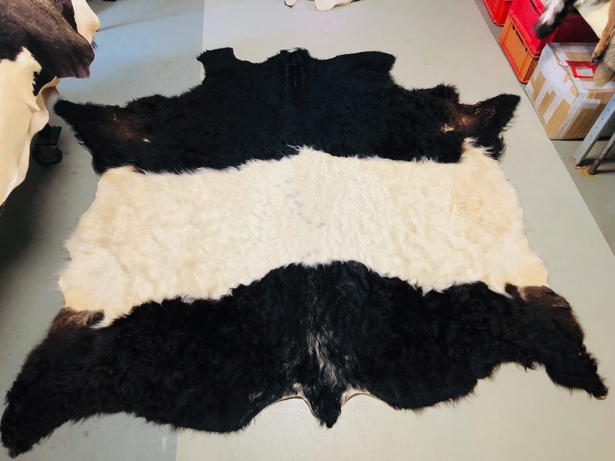 Chromfrei gegerbtes Belted Galloway - schwarz weiß - 210 x 200 cm - Nr 010