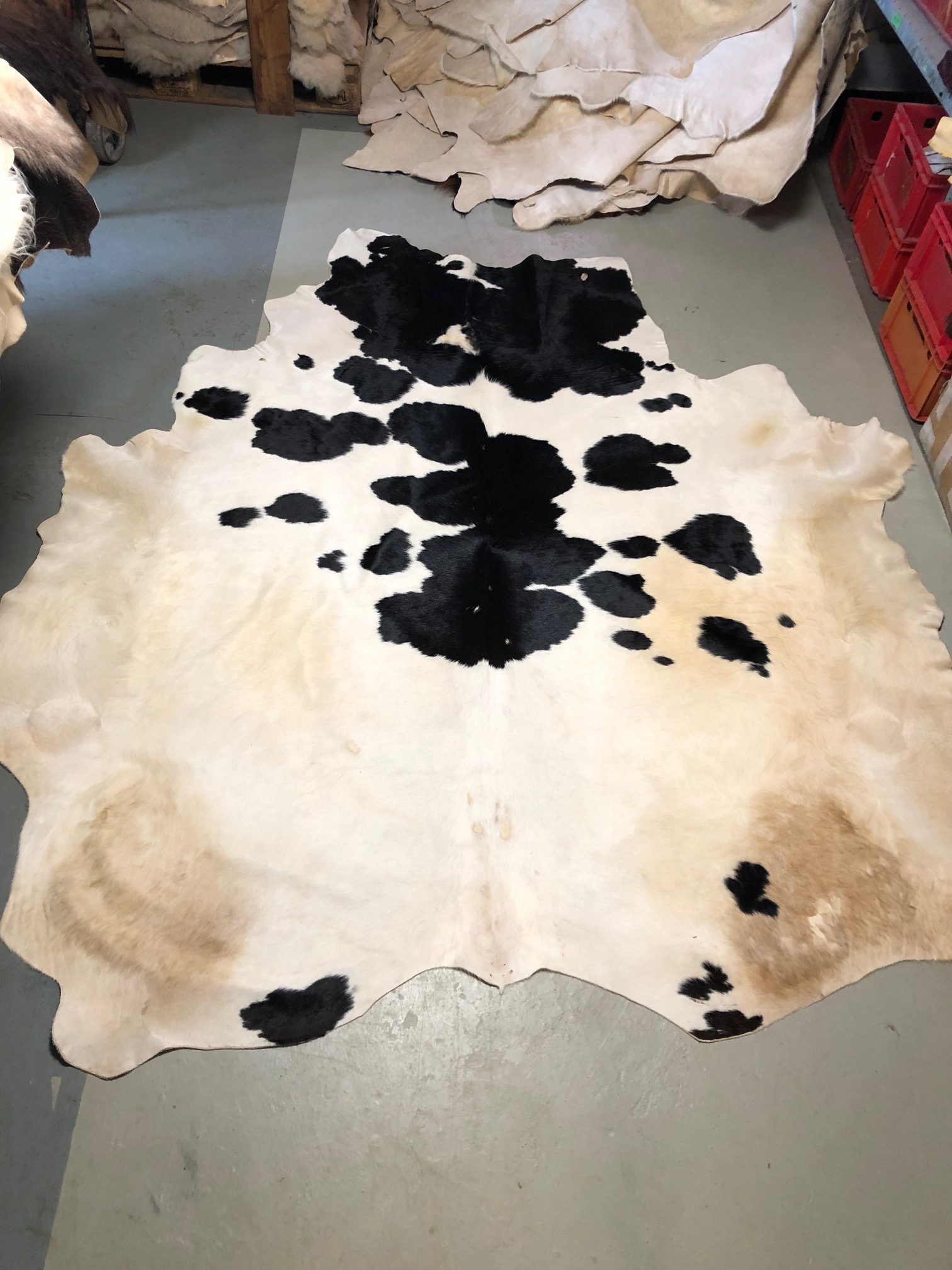 Chromfrei gegerbtes Rinderfell – schwarzbraun – 230 x 195 cm - Nr 012