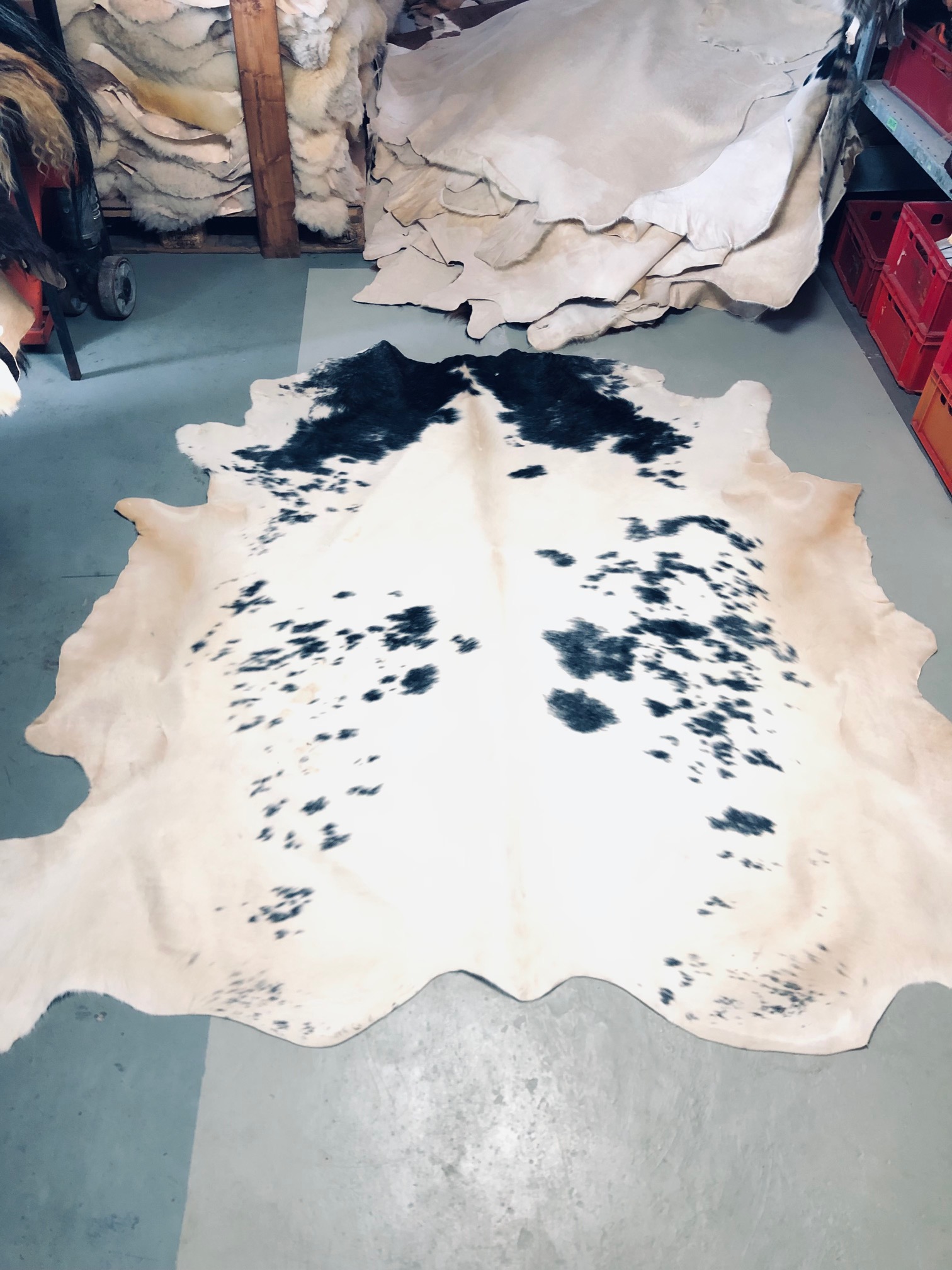 Chromfrei gegerbtes Rinderfell – schwarzbraun – 210 x 200 cm - Nr 013