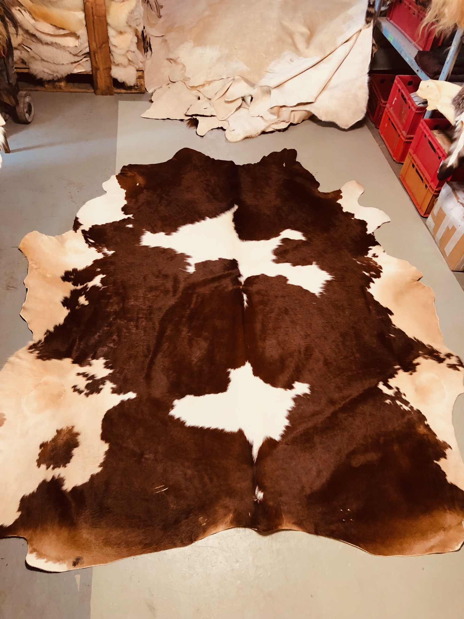 Chromfrei gegerbtes Bullenfell – rotbraun – 240 x 195 cm - Nr 018