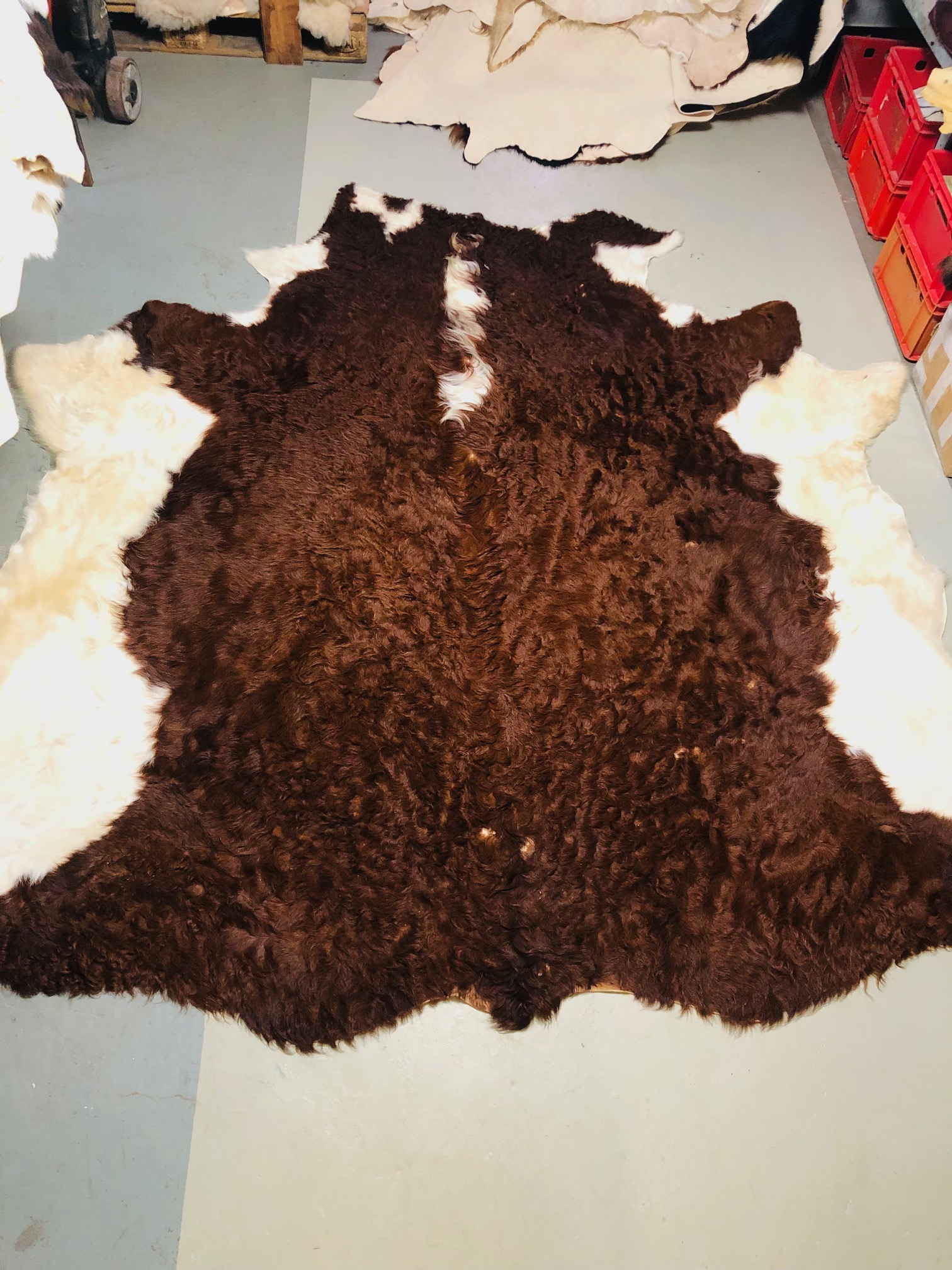 Chromfrei gegerbtes Rinderfell gelockt – braun/weiß rotbraun – 240 x 220 cm - Nr 024