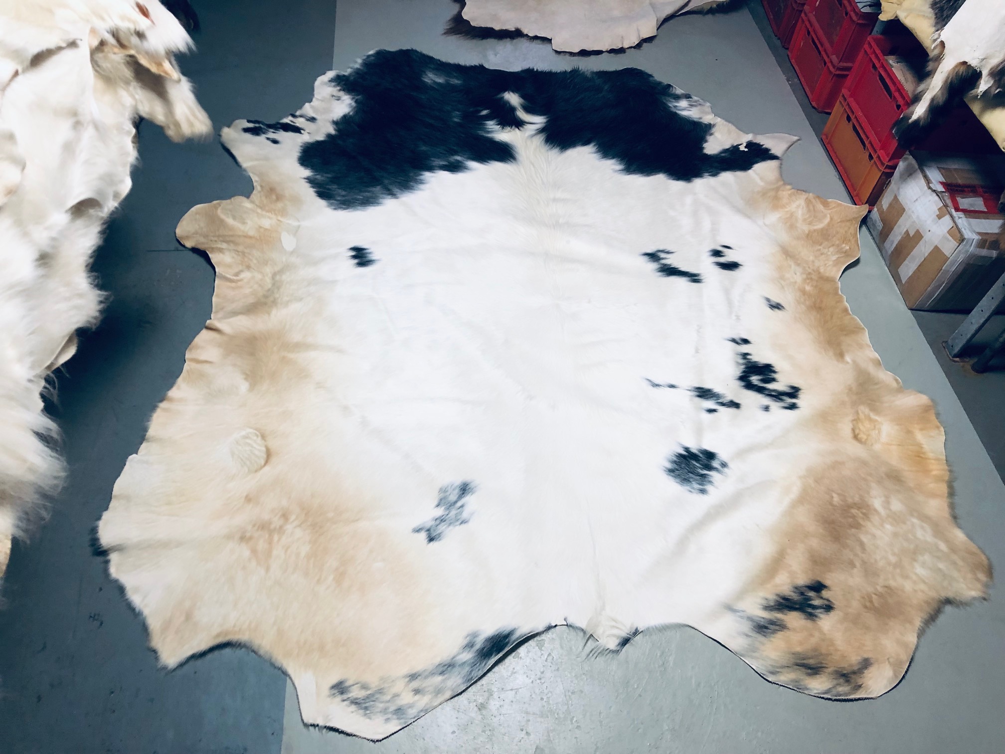 Chromfrei gegerbtes Bullenfell – rotbraun – 240 x 210 cm – Nr 033