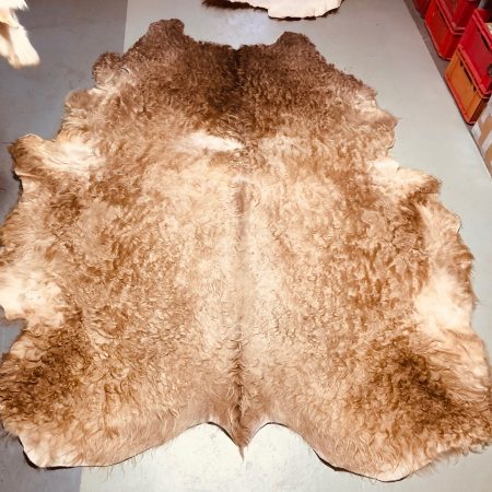 Chromfrei gegerbtes Galloway-Fell – beige  – 230 x 175 cm - Nr 034