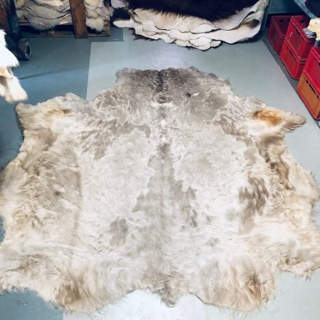 Chromfrei gegerbtes Galloway-Fell – grau  – 205 x 180 cm - Nr 036