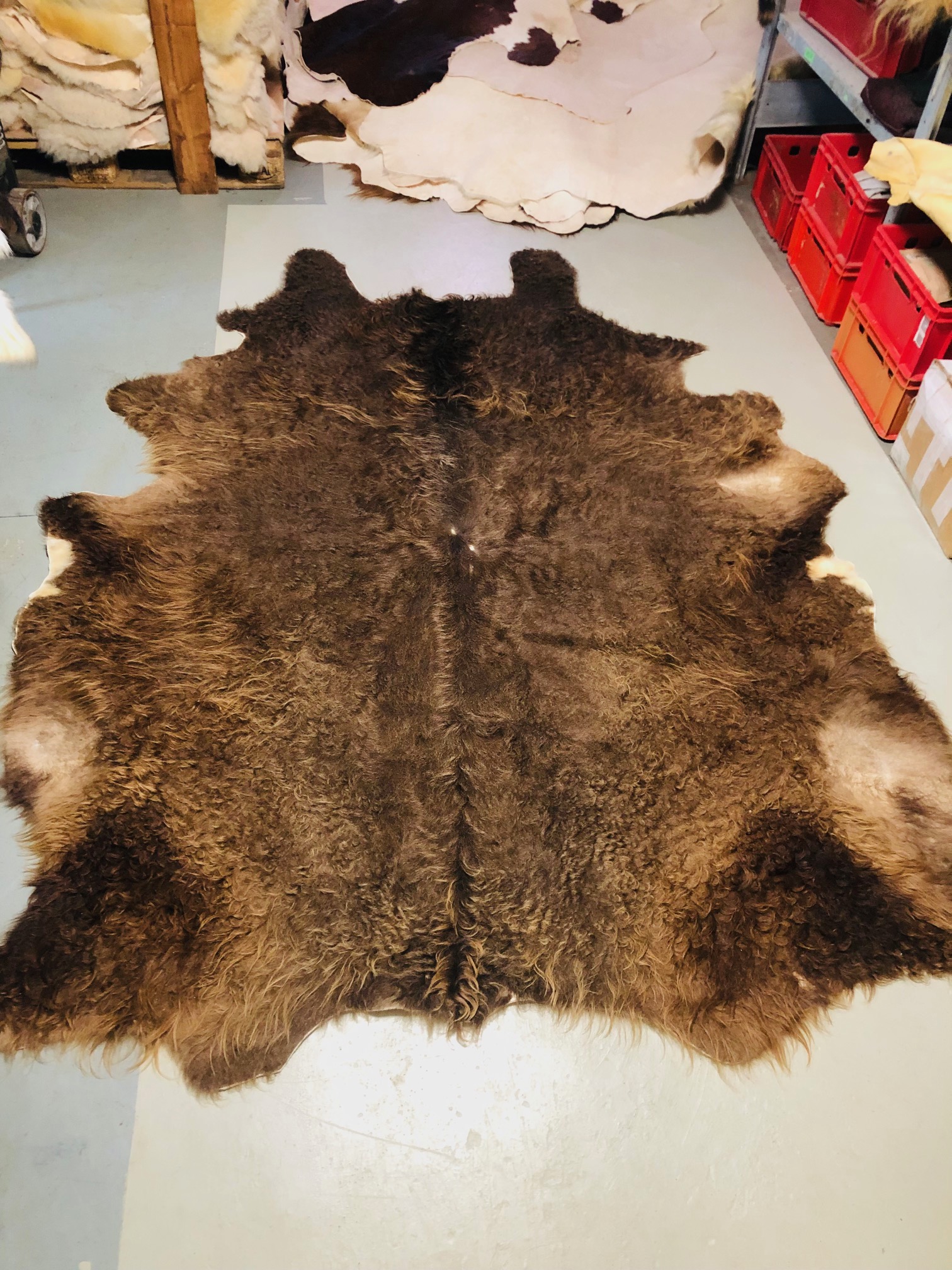 Chromfrei gegerbtes Galloway - braun - 240 x 190 cm - Nr 039