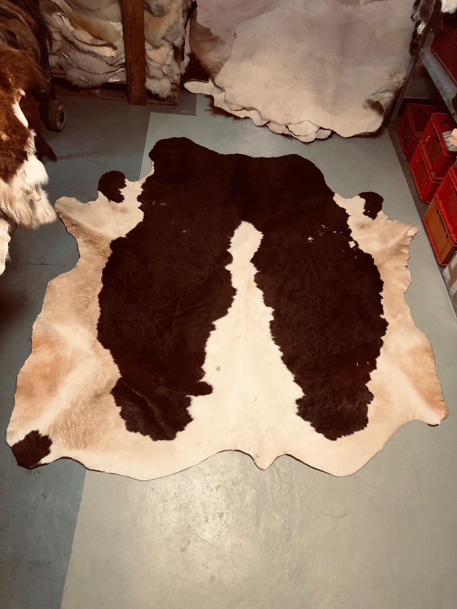 Chromfrei gegerbtes Pinsgauer Bullenfell - rotbraun - 230 x 190 cm – mit Naturmerkmalen - Nr 040