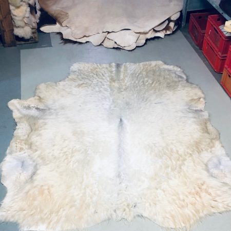 Chromfrei gegerbtes Galloway - cremeweiß - 170 x 155 cm - Nr 041