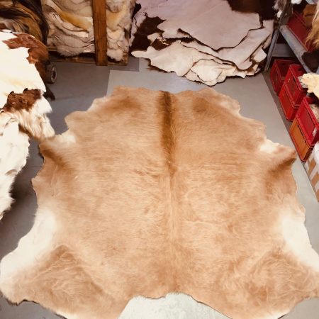 Chromfrei gegerbtes Bullenfell –hellbraun  – 235 x 205 cm - Nr 042