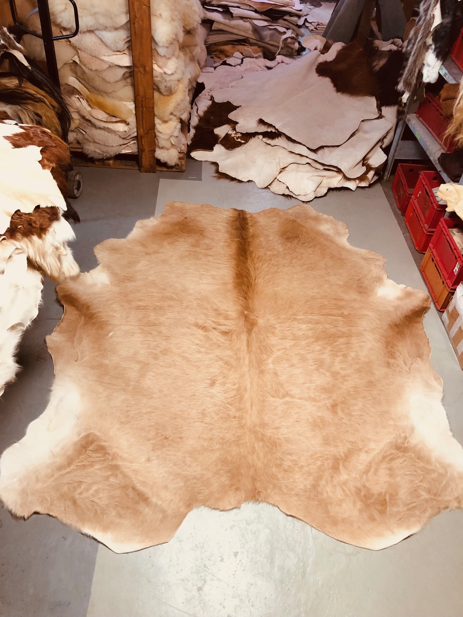 Chromfrei gegerbtes Bullenfell –hellbraun – 235 x 205 cm - Nr 042