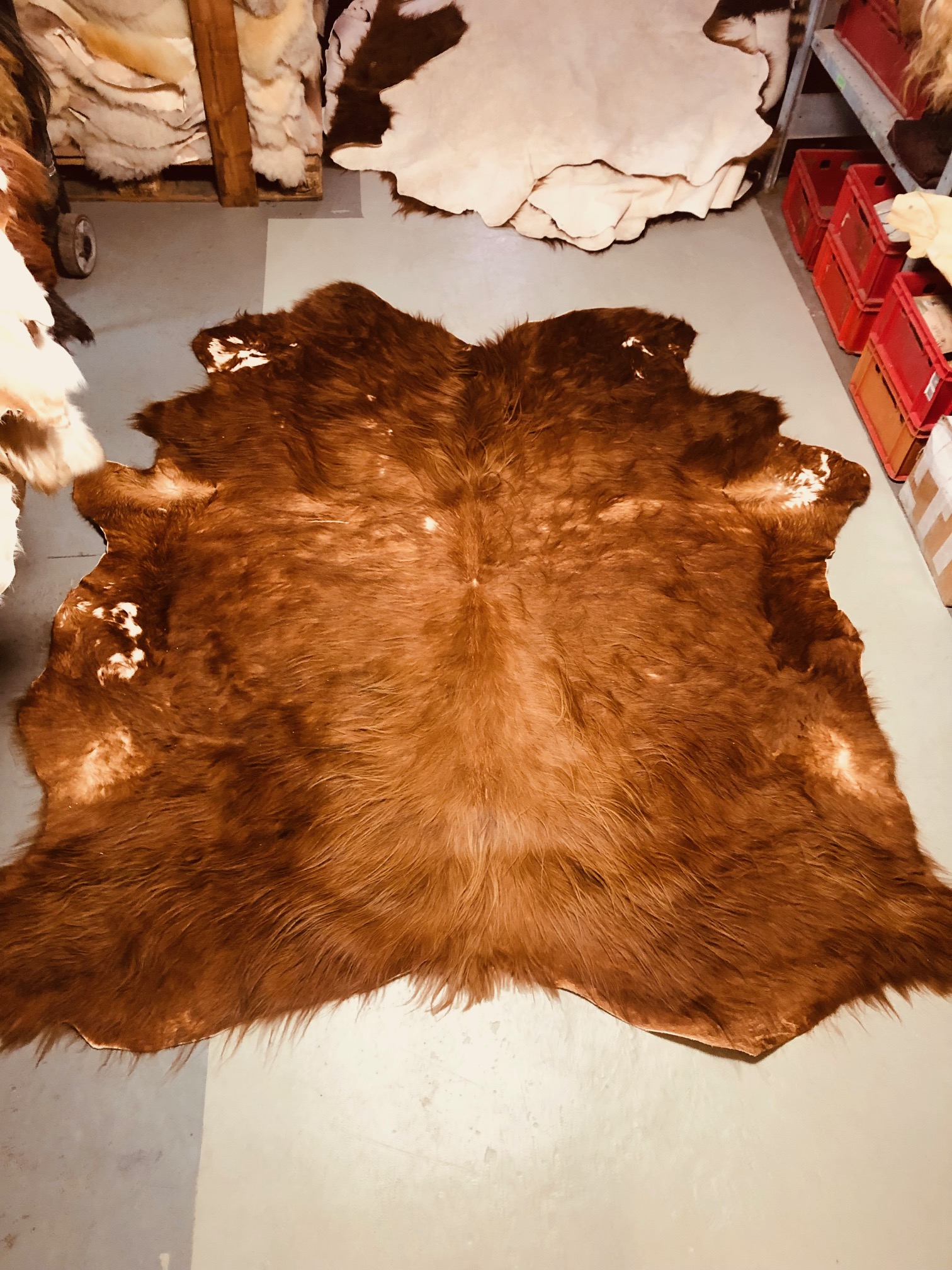 Chromfrei gegerbtes Highland-Fell – braun – 225 x 200 cm – mit Naturmerkmalen - Nr 044