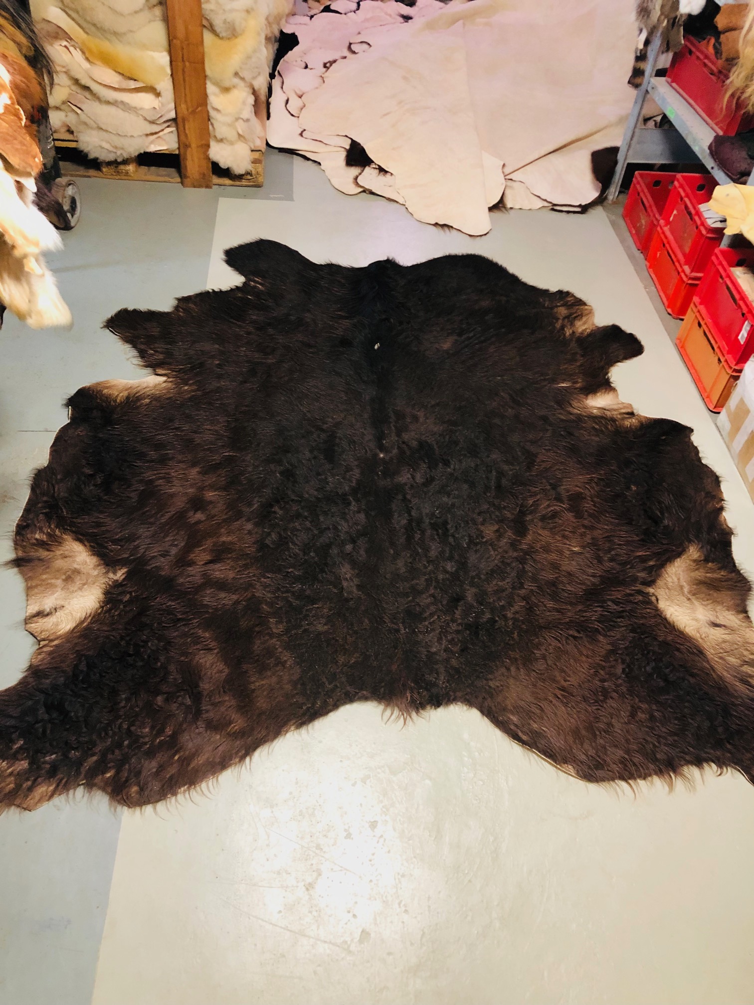 Chromfrei gegerbtes Galloway-Fell - braun - 210 x 200 cm - Nr 046