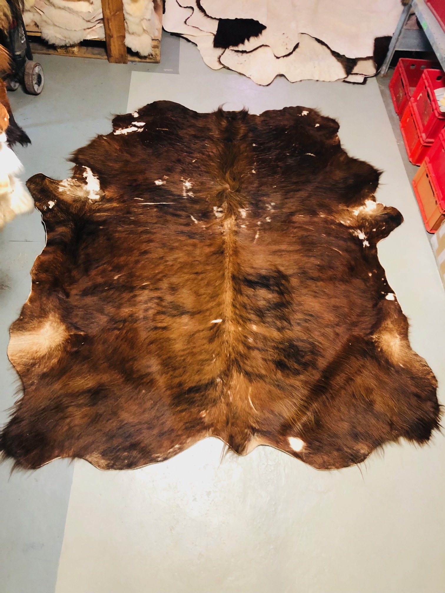 Chromfrei gegerbtes Highland-Fell – braun – 225 x 190 cm – mit Naturmerkmalen -Nr 047