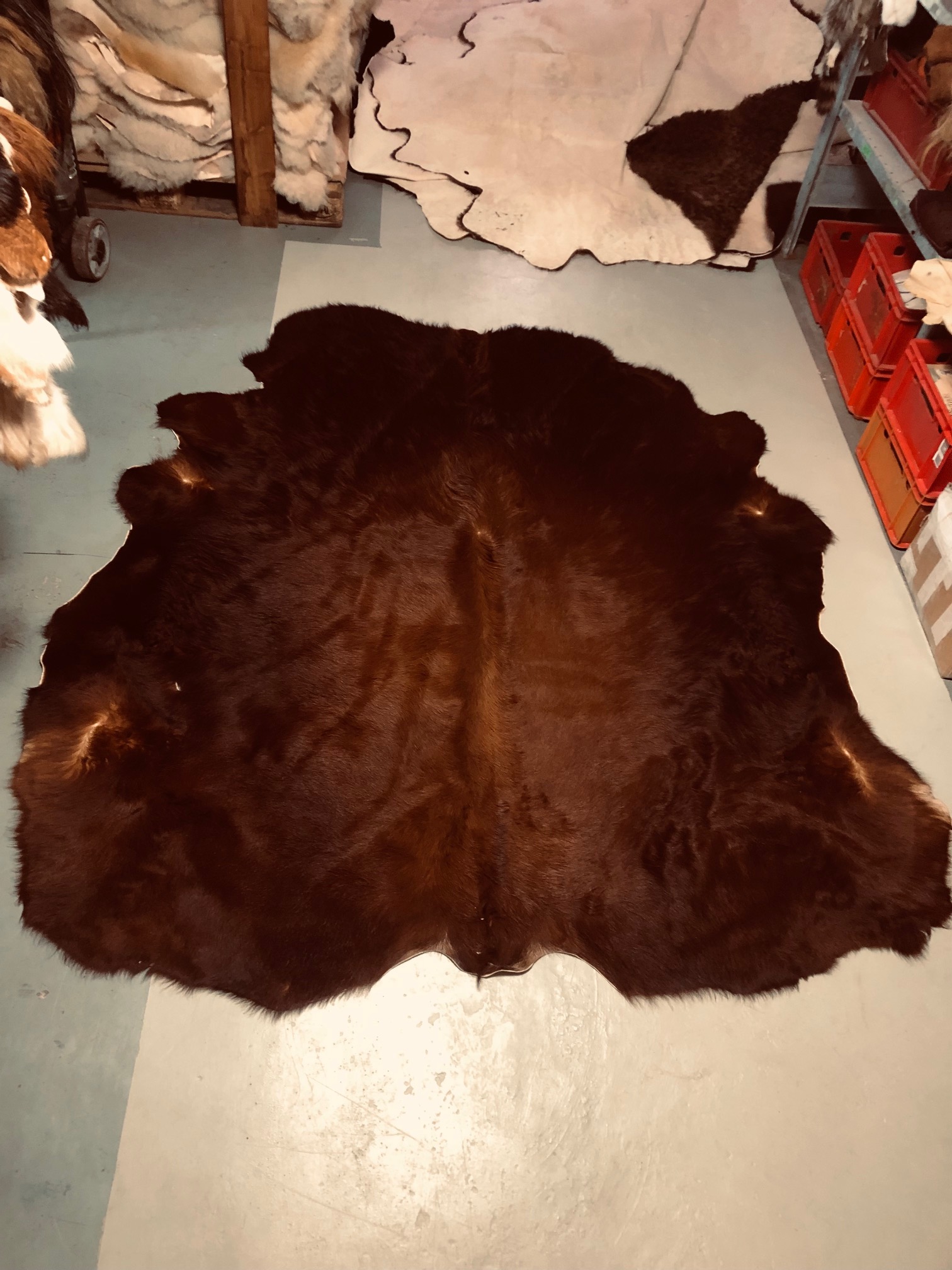 Chromfrei gegerbetes Rinderfell - gelockt - braun - 218 x 200 cm - Nr 048