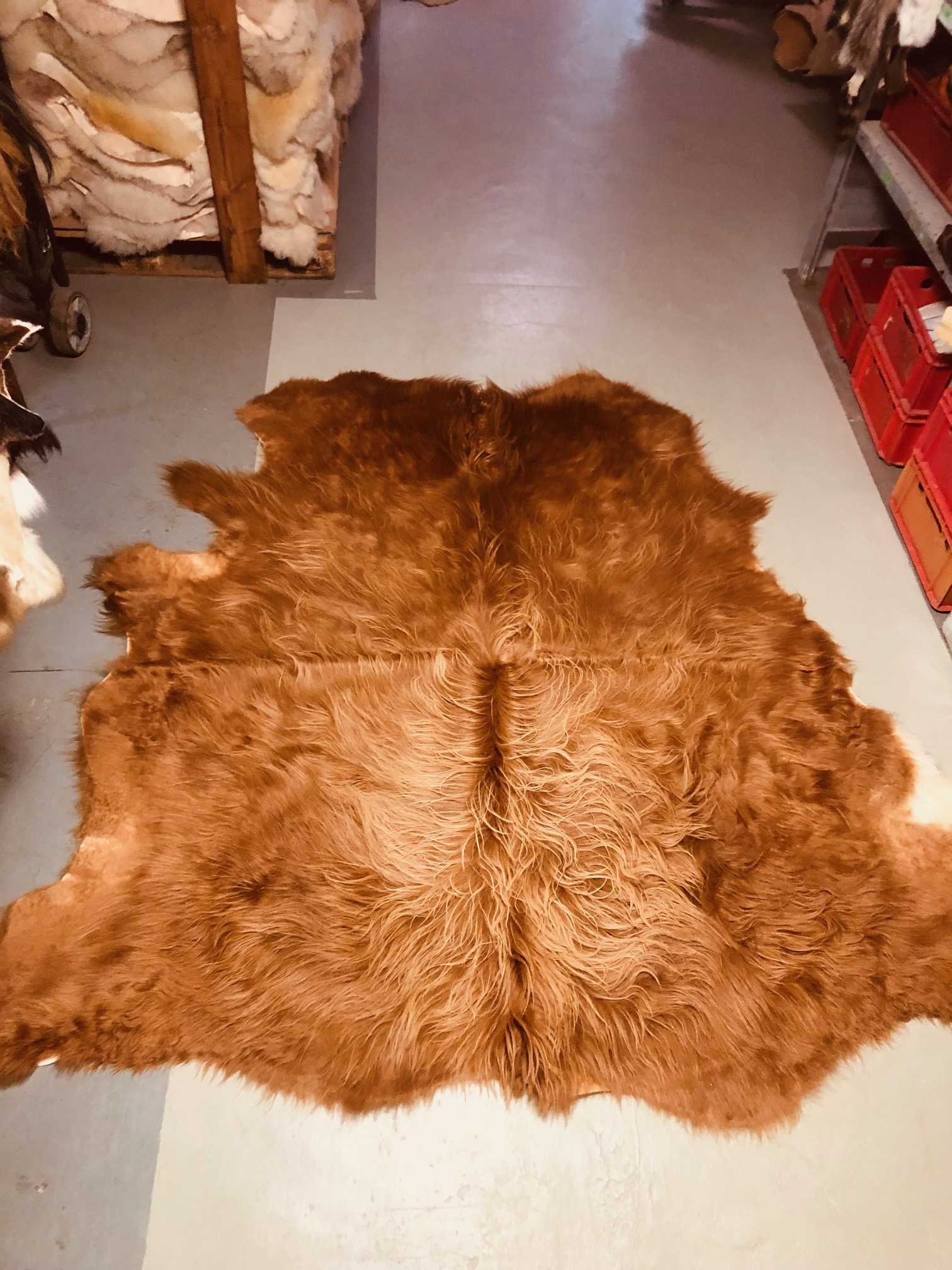 Chromfrei gegerbtes rot-braunes Highland - Nr 073