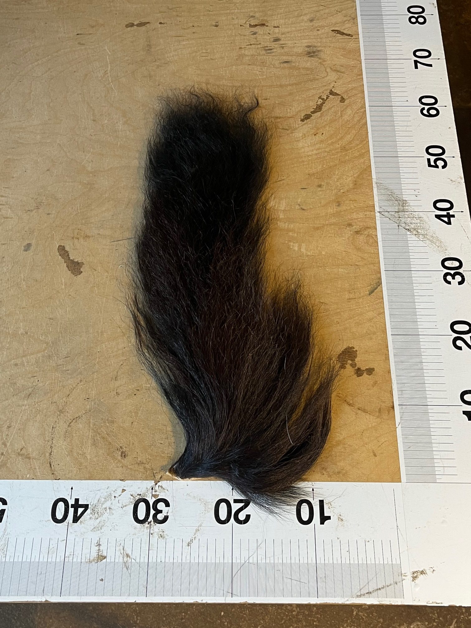 Pferdeschweif / Roßschweif – hochwertig gegerbt, 50–60 cm