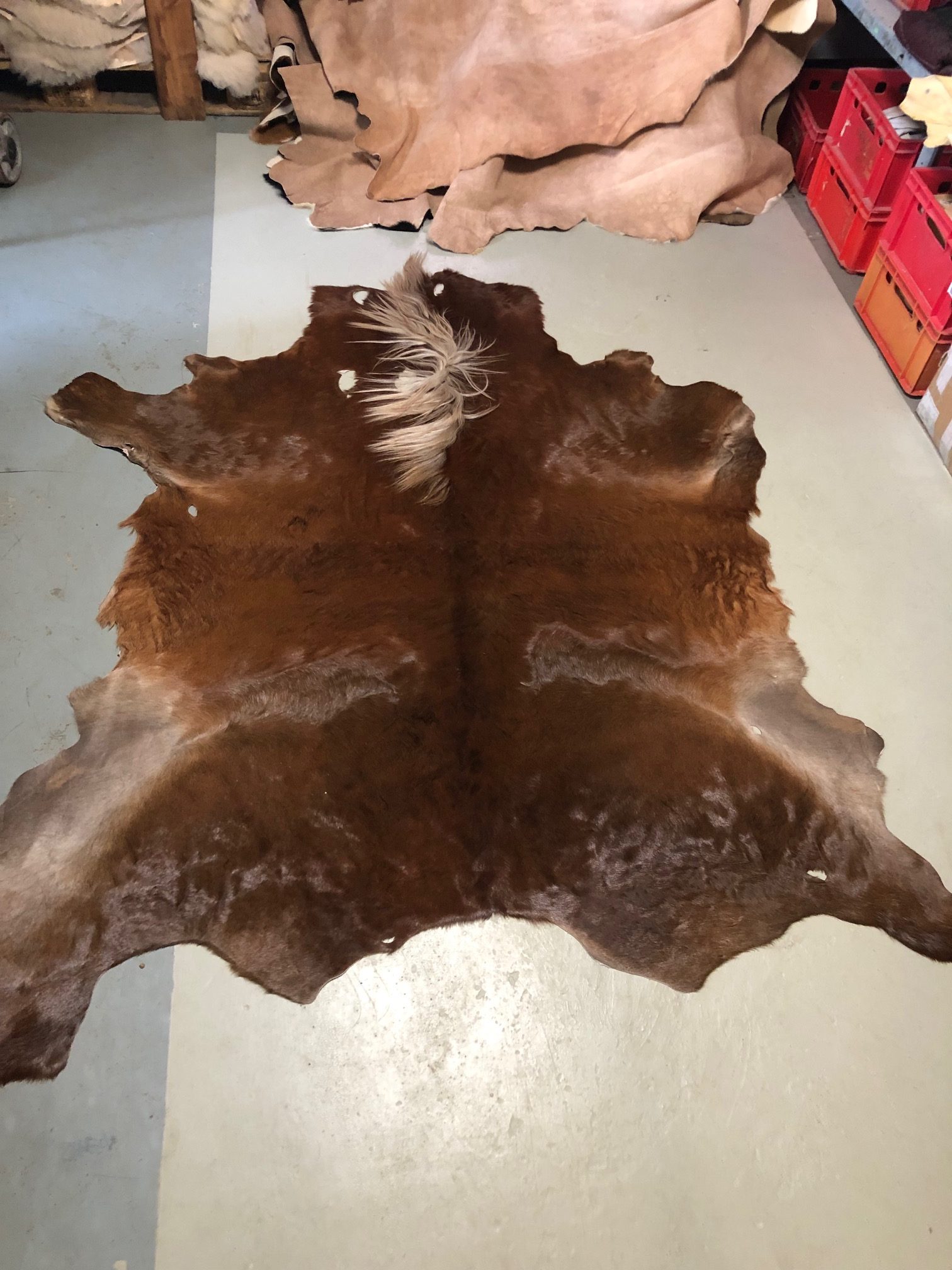 Hochwertig gegerbtes Pferdefell – braun/weiß – 150 x 175 cm – wunderschöne Optik – Nr 007