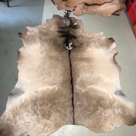 Hochwertig gegerbtes Eselfell (Muli) – grau – 215 x 160 cm – wunderschöne Optik – Nr 008