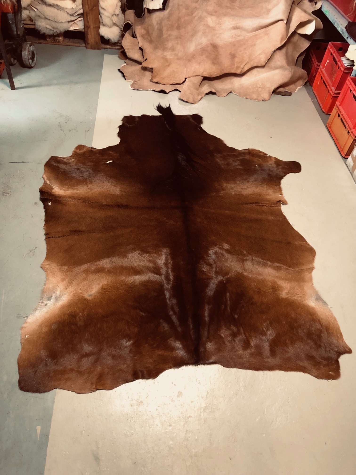 Hochwertig gegerbtes Pferdefell – braun/schwarz – 190 x 150 cm – wunderschöne Optik – Nr 010