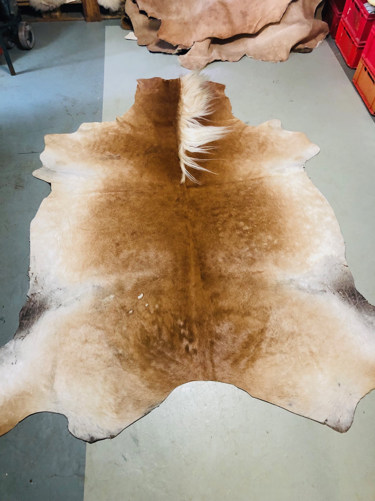 Hochwertig gegerbtes Pferdefell (Haflinger) – braun/weiß – 220 x 190 cm – wunderschöne Optik – Nr 011