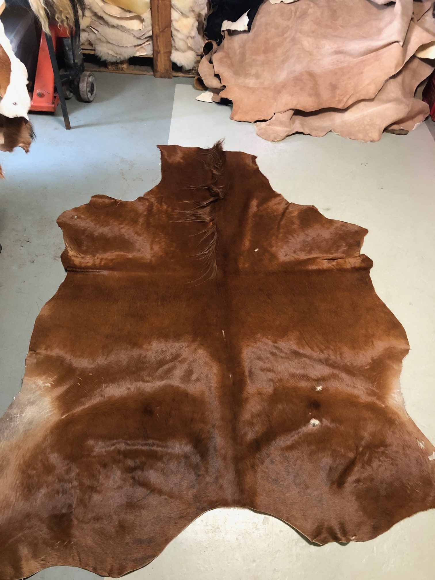 Hochwertig gegerbtes Pferdefell – braun – 220 x 175 cm – wunderschöne Optik – Nr 012