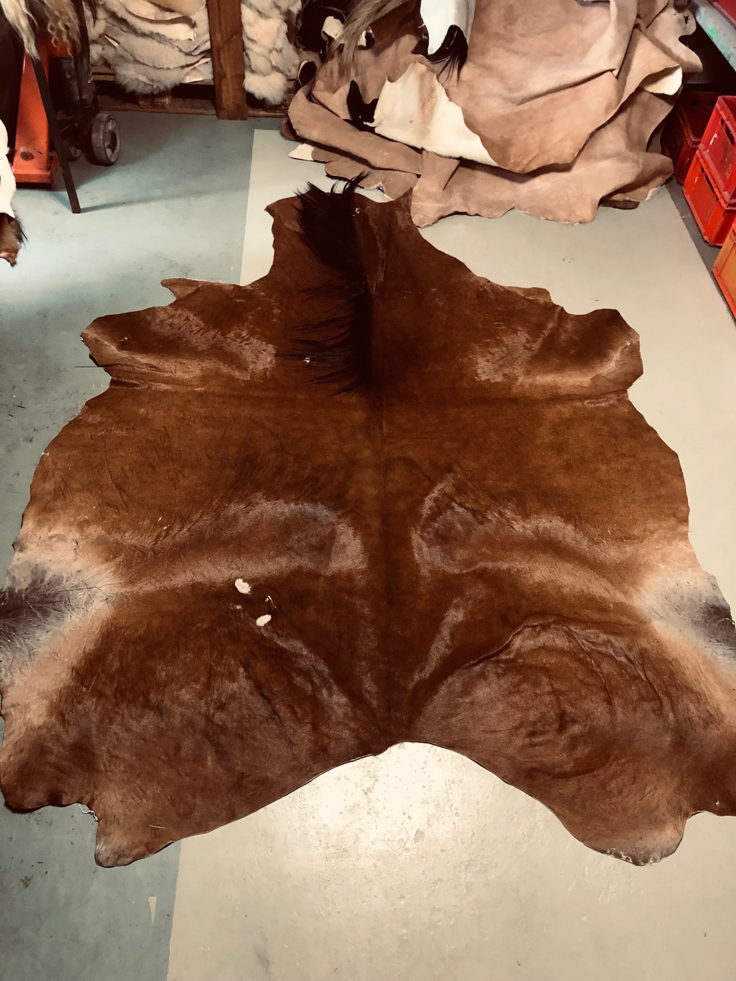 Hochwertig gegerbtes Pferdefell – braun/schwarz – 230 x 175 cm – wunderschöne Optik – Nr 014