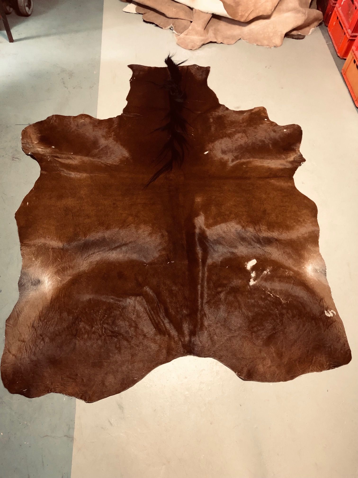 Hochwertig gegerbtes Pferdefell – braun/schwarz – 215 x 155 cm – leichte Scheuerstellen - wunderschöne Optik – Nr 015