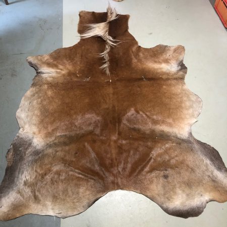 Hochwertig gegerbtes Pferdefell (Haflinger) – hellbraun – 215 x 170 cm – wunderschöne Optik – Nr 018