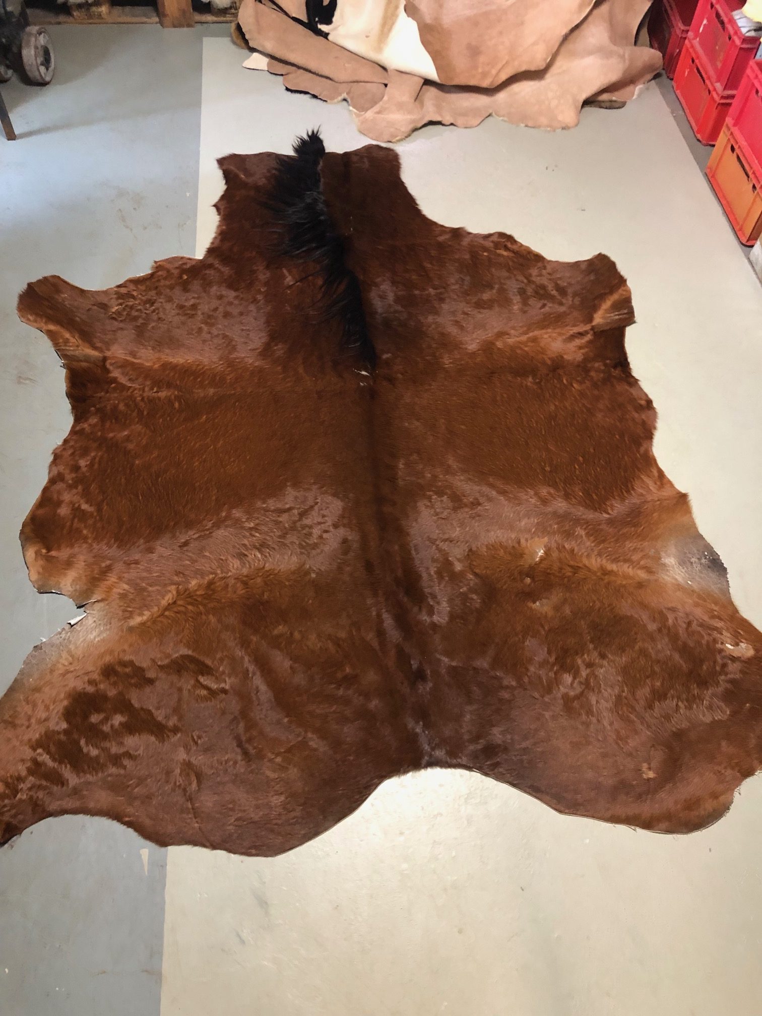 Hochwertig gegerbtes Pferdefell – braun – 220 x 185 cm – wunderschöne Optik - Nr 020