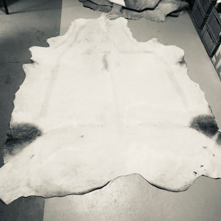 Hochwertig gegerbtes Pferdefell (Schimmel) – weiß – 215 x 200 cm – wunderschöne Optik – Nr. 021