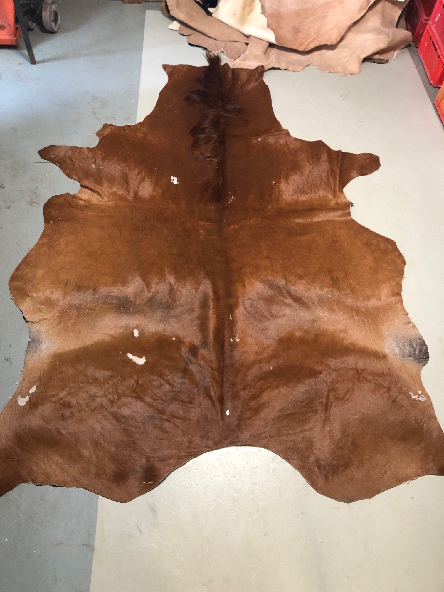 Hochwertig gegerbtes Pferdefell – braun – 240 x 170 cm – wunderschöne Optik – leichte Scheuerstellen - Nr 022