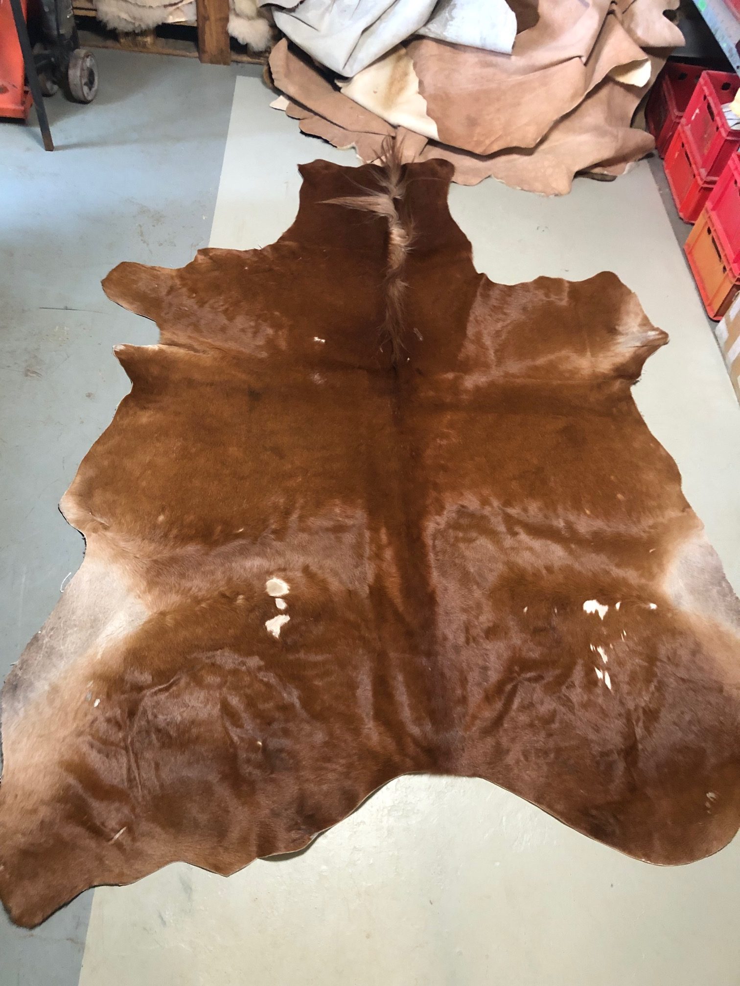 Hochwertig gegerbtes Pferdefell – braun – 240 x 180 cm – wunderschöne Optik – leichte Scheuerstellen - Nr 023