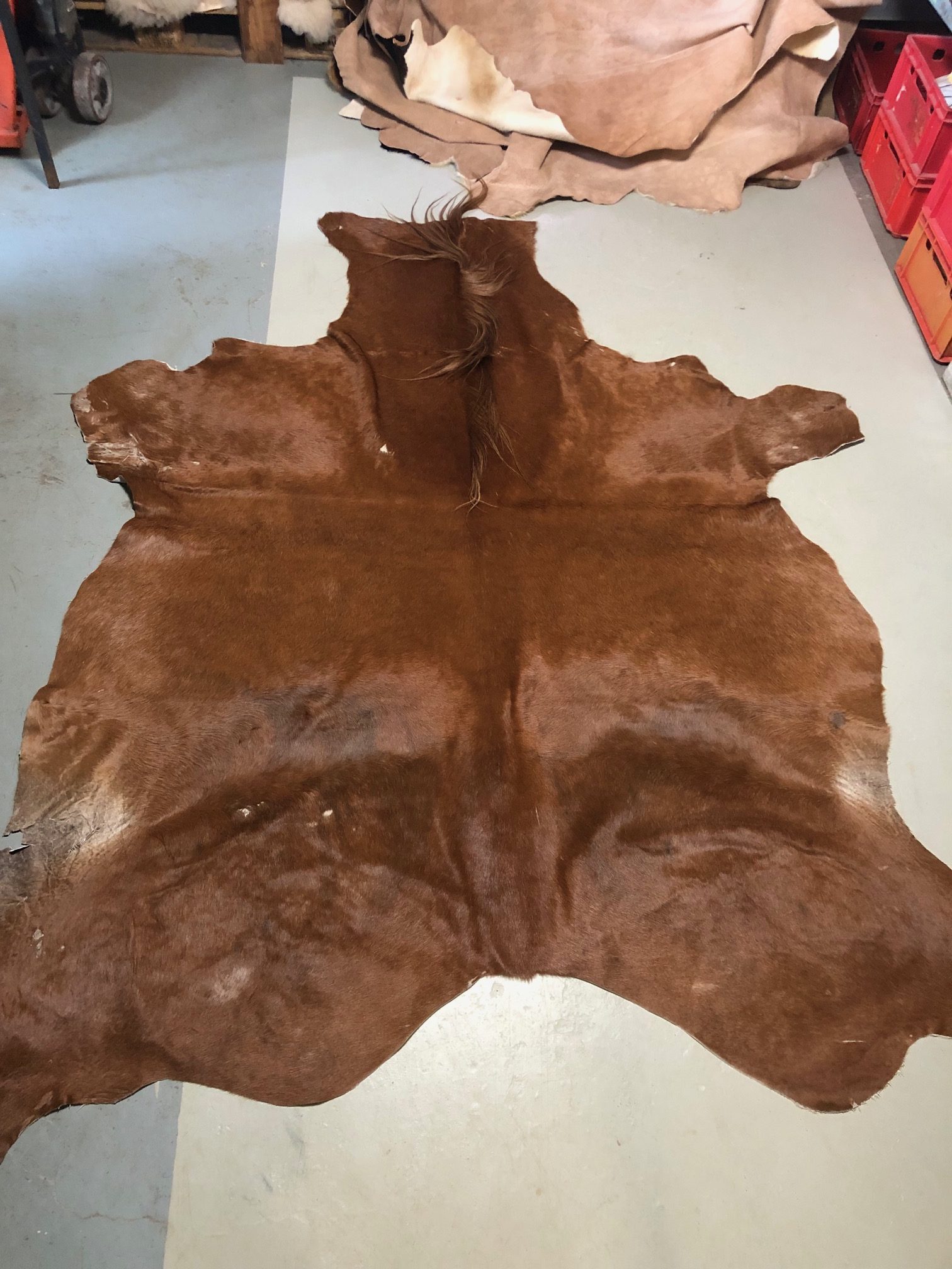 Hochwertig gegerbtes Pferdefell – braun – 230 x 185 cm – wunderschöne Optik – Nr 024