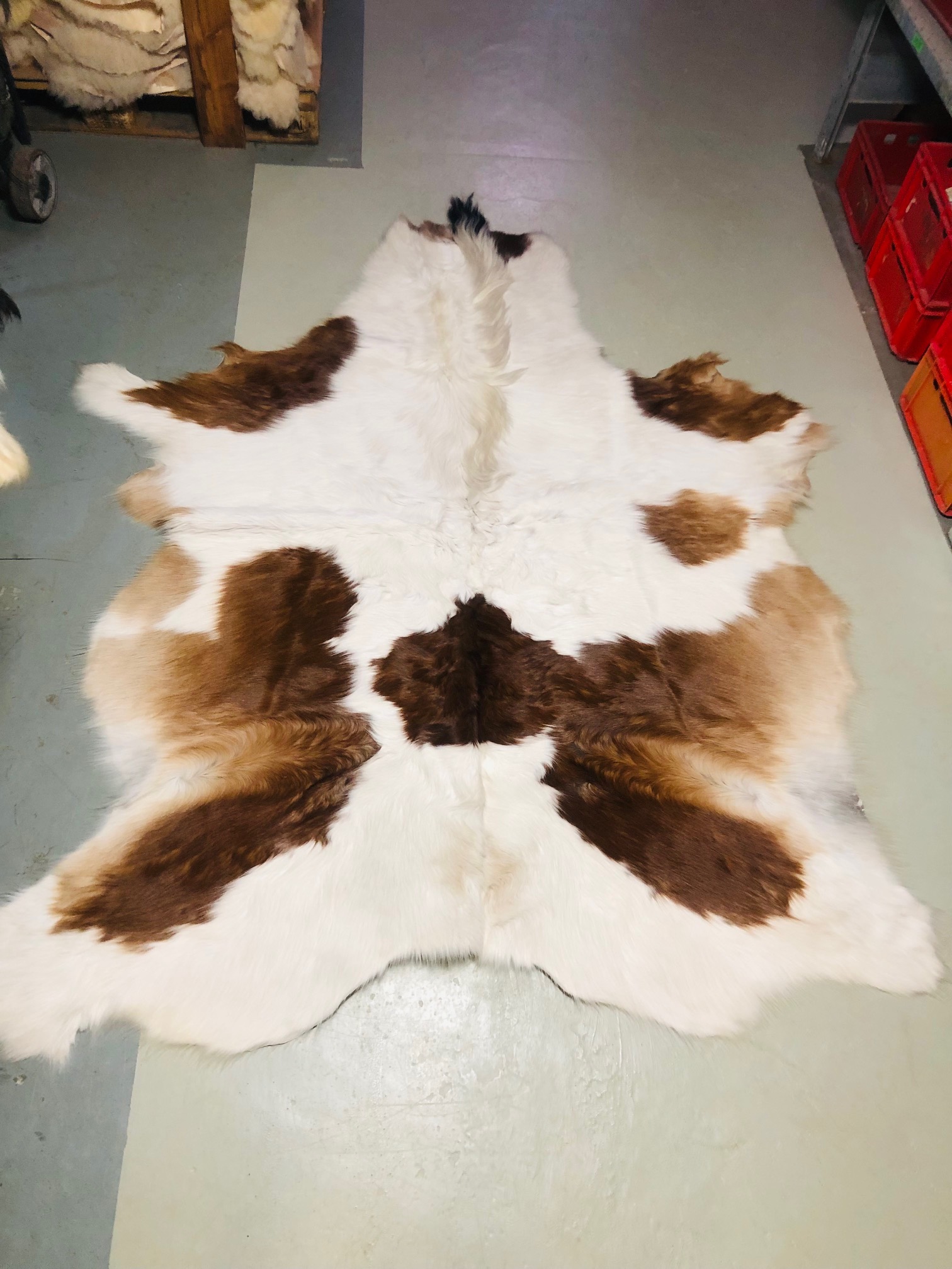 Hochwertig gegerbtes Pferdefell (Apalooza) – braun-weiß – 220 x 175 cm – wunderschöne Optik – Nr. 025