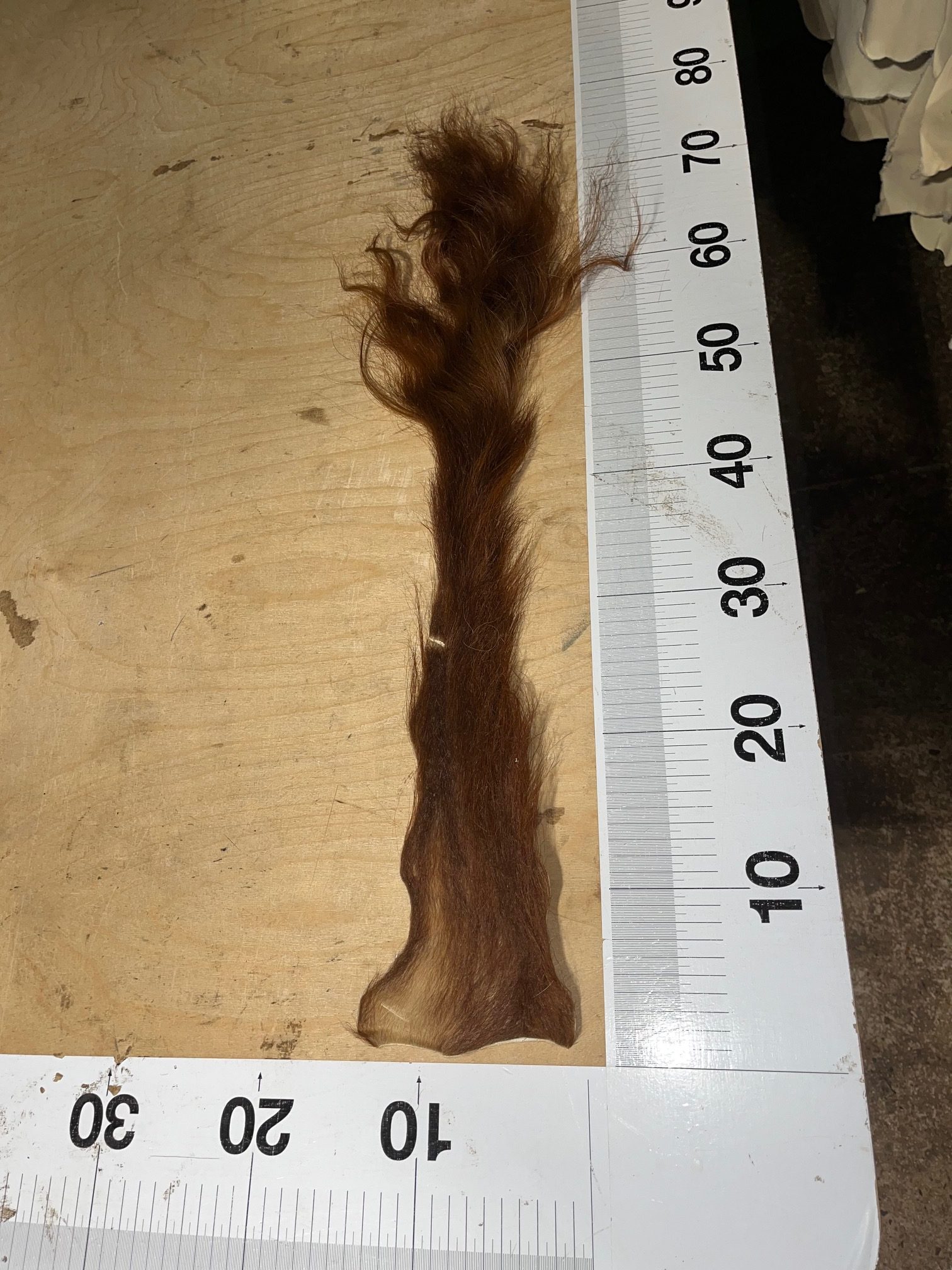 Kuhschwanz, Kuhschweif – hochwertig gegerbt, 60–80 cm