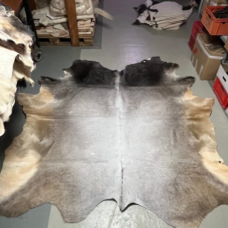 Chromfrei gegerbtes grau-weißer Bulle - Nr 082