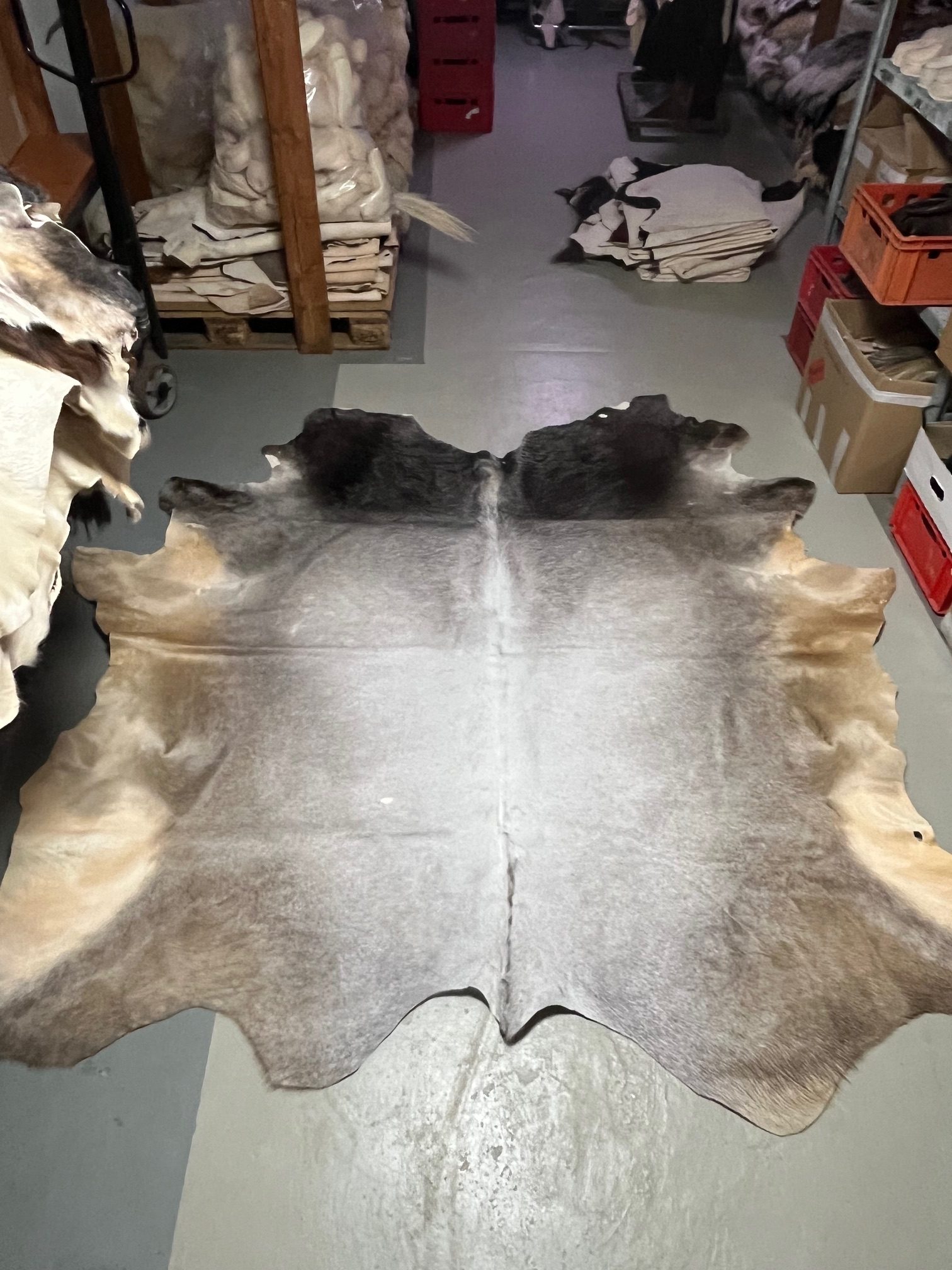 Chromfrei gegerbtes grau-weißer Bulle - Nr 082