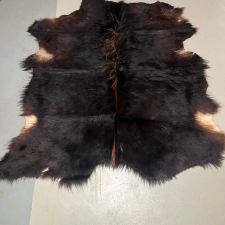 Chromfrei gegerbtes Auerochsen-Fell , Unikat  – 170 x 165 cm – Nr 088