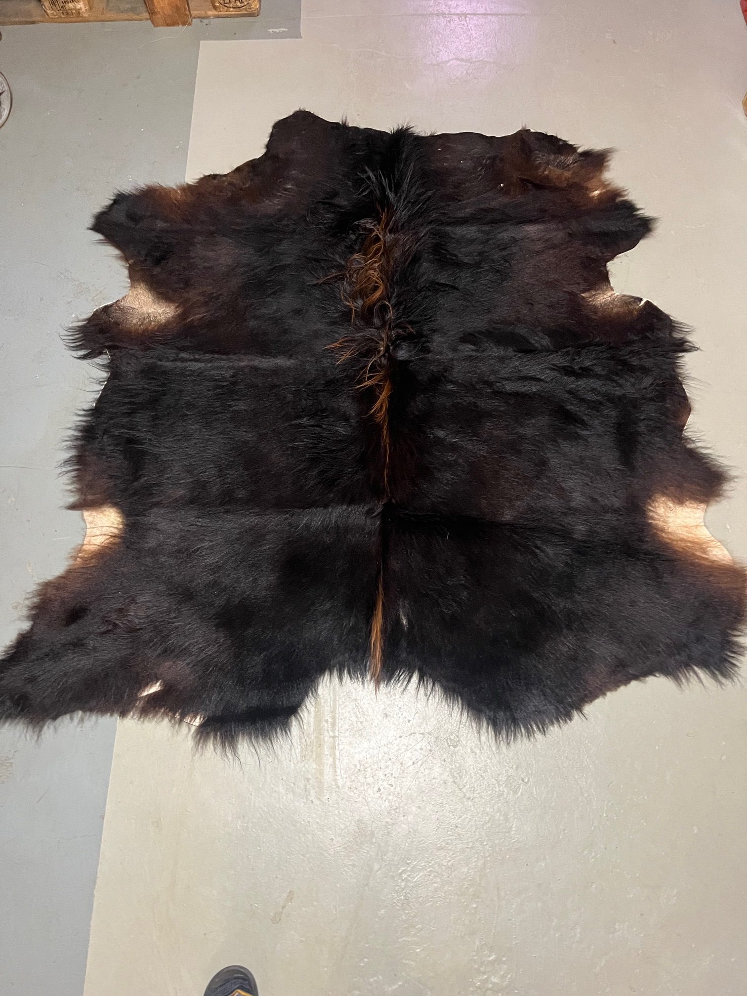 Chromfrei gegerbtes Auerochsen-Fell , Unikat – 170 x 165 cm – Nr 088