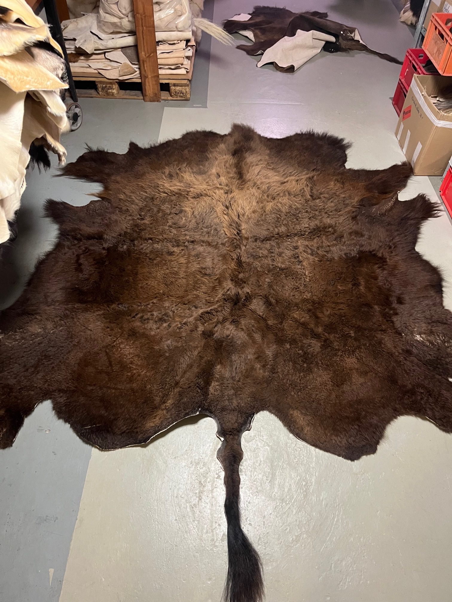 Chromfrei gegerbtes Bison-Fell - mit Schwanz - 220 x 210 cm - Nr 089