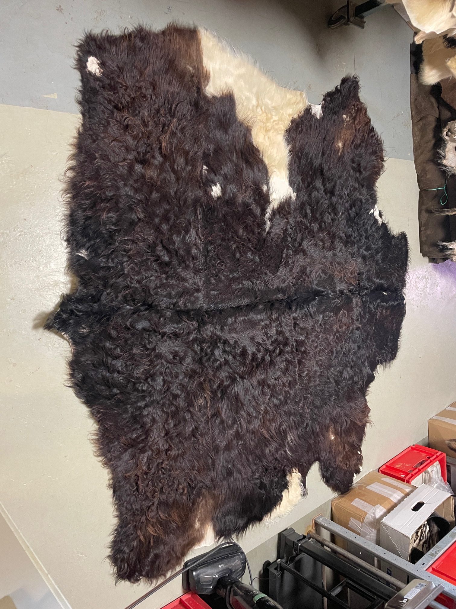 Chromfrei gegerbtes Highland-Fell – schwarz – 200 x 200 cm – mit Naturmerkmalen 1 Kahlstelle-Nr 094