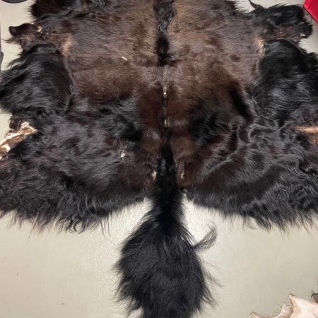 Chromfrei gegerbtes Yak mit Schwanz mit Loch und Schnitt – schwarz – 180 x 200 cm - Nr 91
